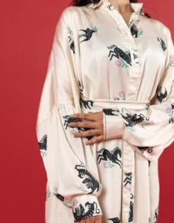 Paota Dress -ZAZU Clothing Shop aw23272