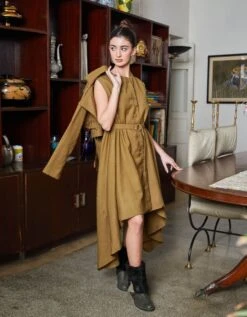Phoenix Brown Assymetric Dress