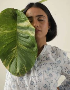 White And Blue Dress -ZAZU Clothing Shop ss2334white5